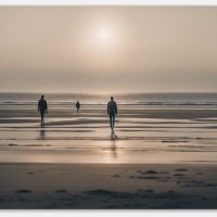 Découvrez les secrets de la plage des Abatilles, Bordeaux