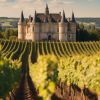 Découvrez le majestueux Château de Camensac à Bordeaux